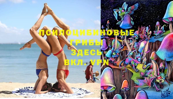 jwh Алзамай